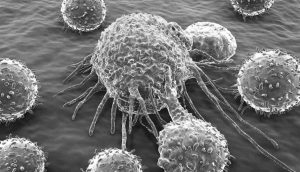 t cells attacking a cancer cell